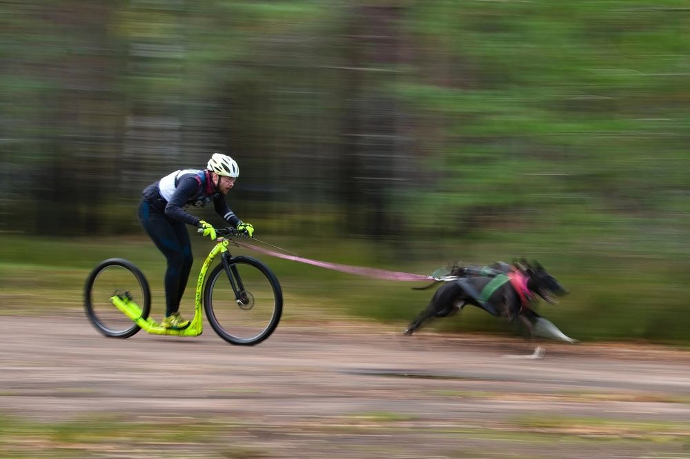 Photograph by Владимир Коровяковский