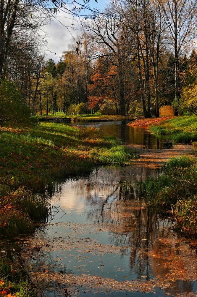 Photograph by Даниил Пузаков