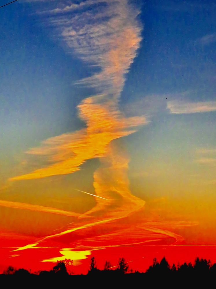 Летящий в ночи