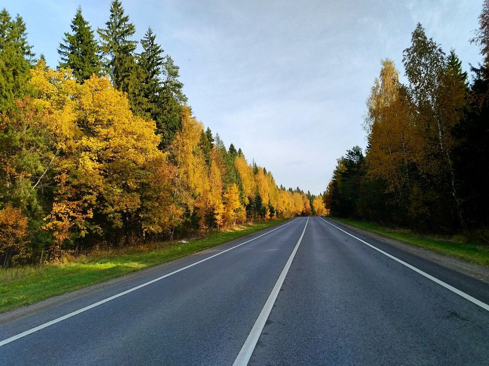Autumn Road