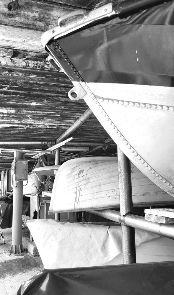 Photograph by claudia