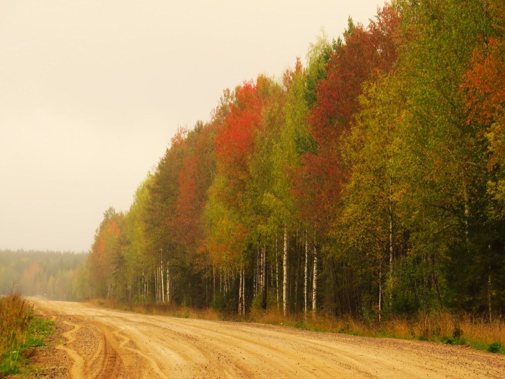 Photograph by Людмила Кононова
