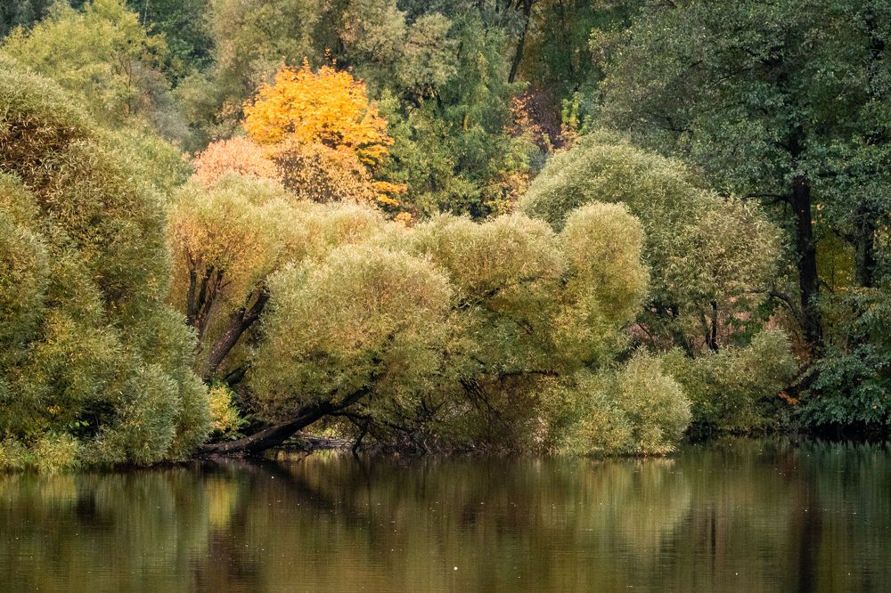 Фотография автора 