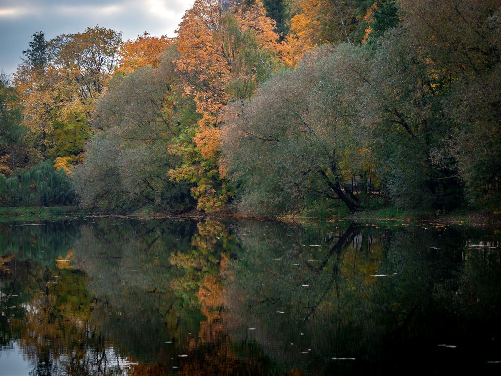 Фотография автора 