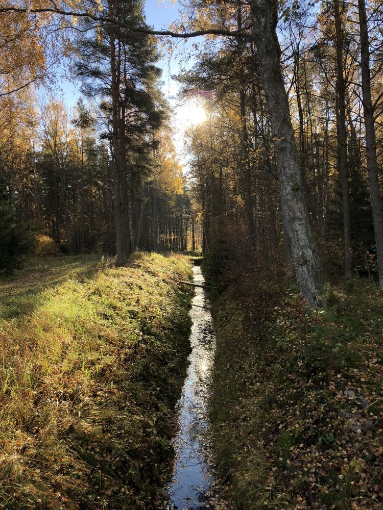 Photograph by Ирина Швейнова