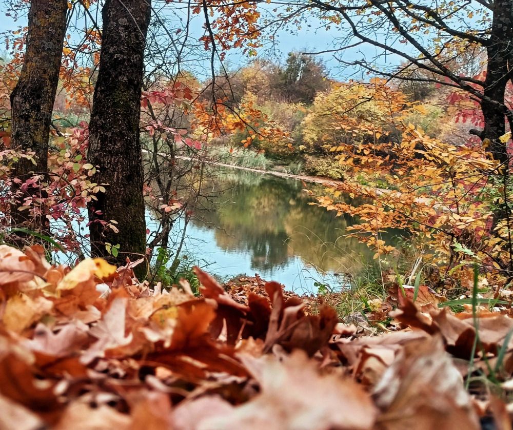 Photograph by Дарья Кирина