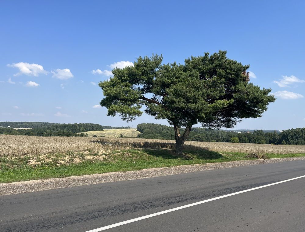 Photograph by Анастасия Стасевич