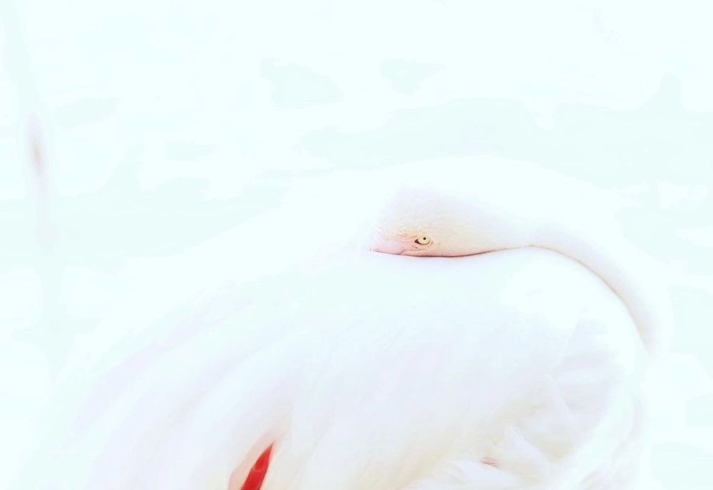 Фотография автора Yoan Izetov