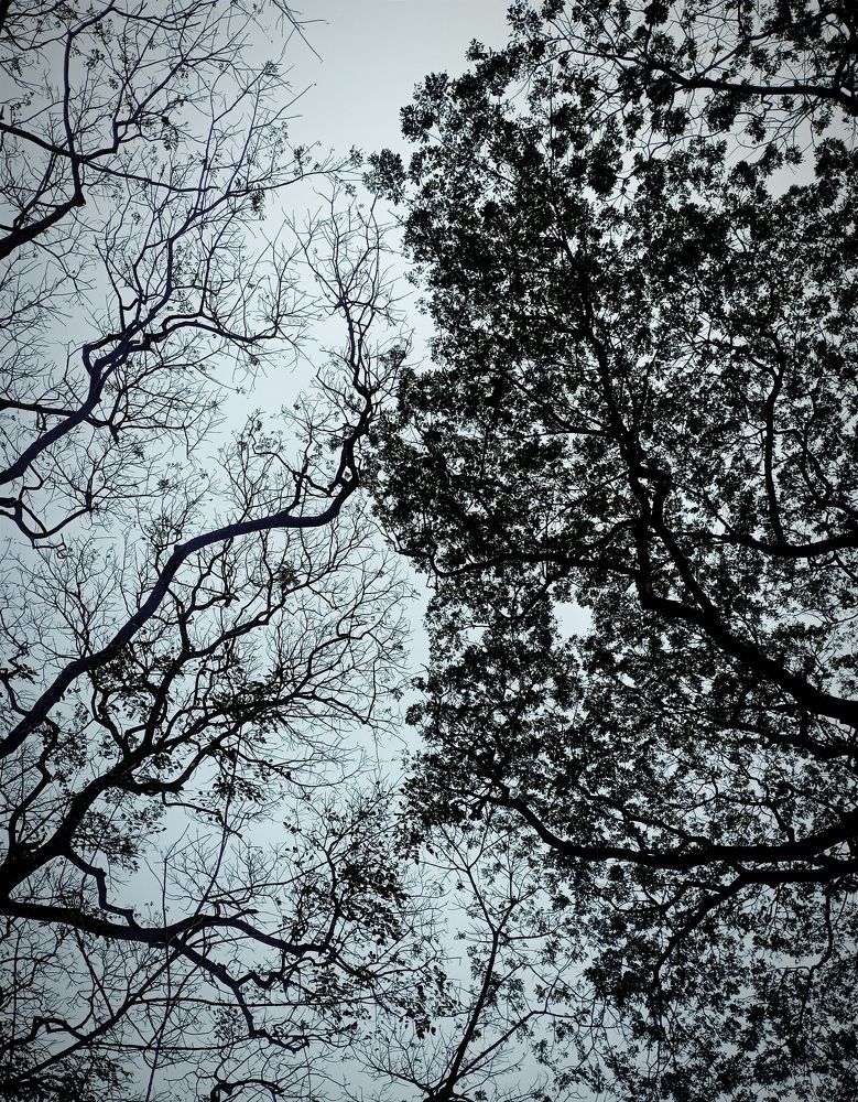 "Your Touch Make Me Alive."