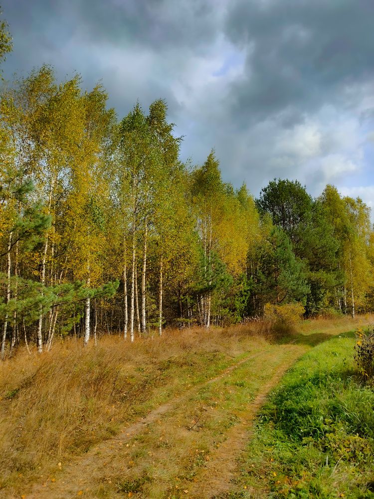 Фотография автора Светлана Смирнова