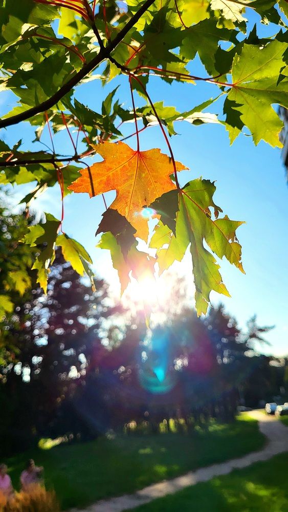 Photograph by Dmitrij Zykunov