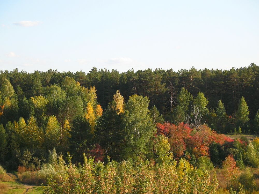 Photograph by Владимир