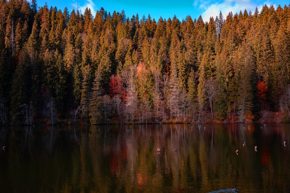 Photograph by Grădinaru Catalin