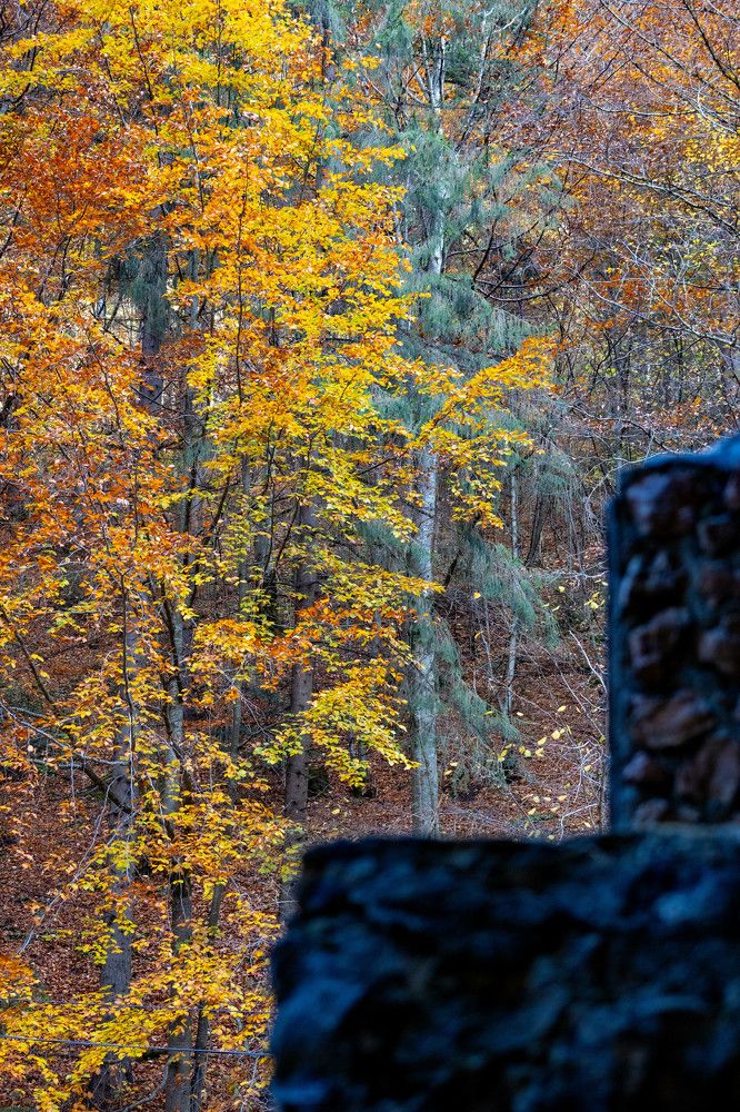 Photograph by Grădinaru Catalin