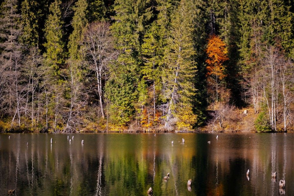 Photograph by Grădinaru Catalin