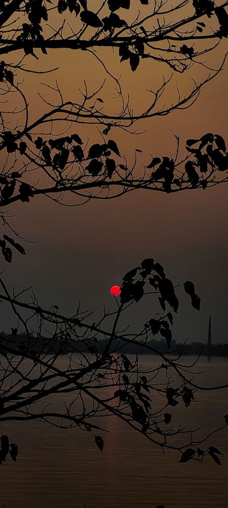 Photograph by Sandip Pramanik