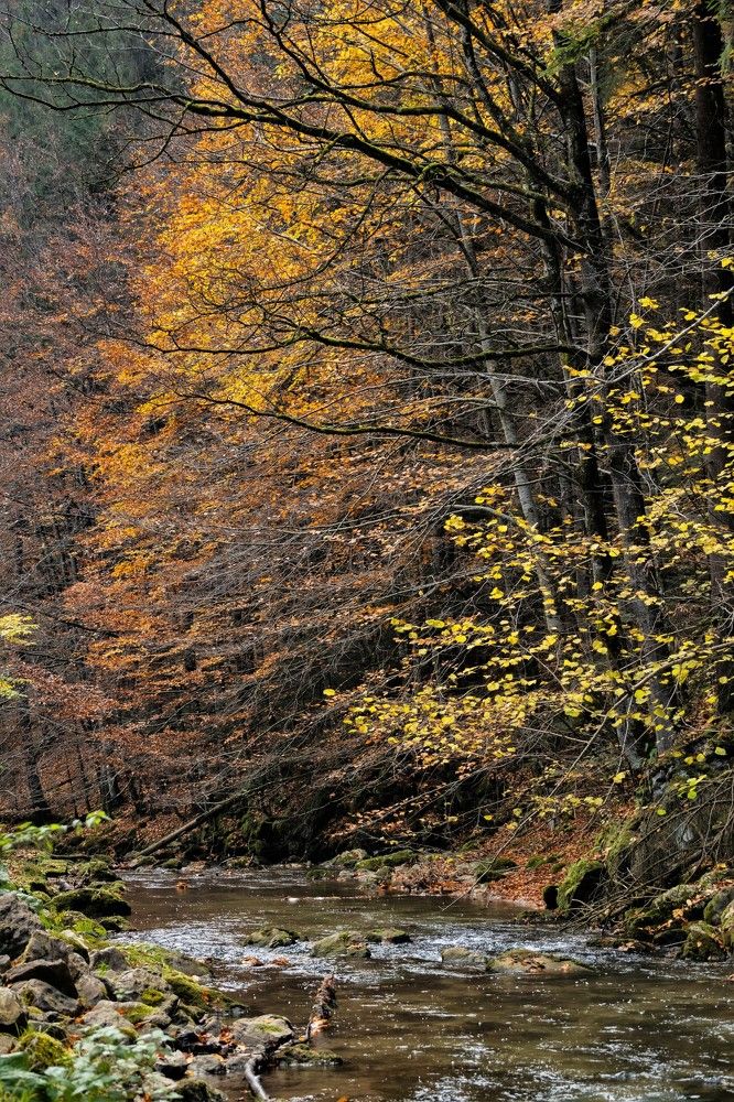 Photograph by Grădinaru Catalin