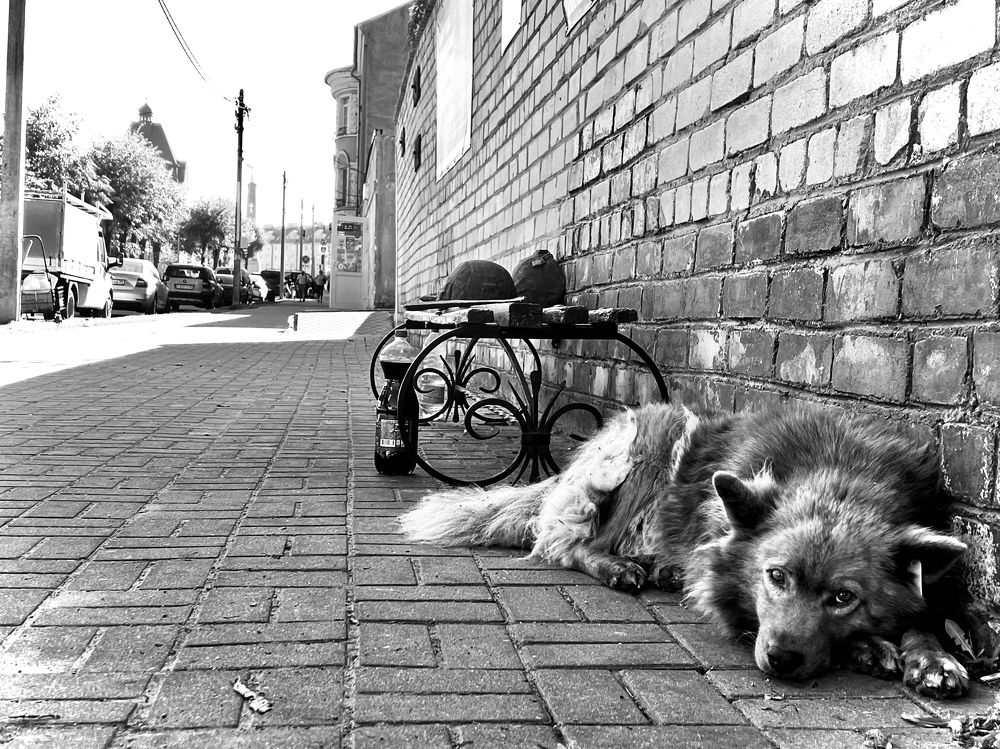 Photograph by Олеся Королева