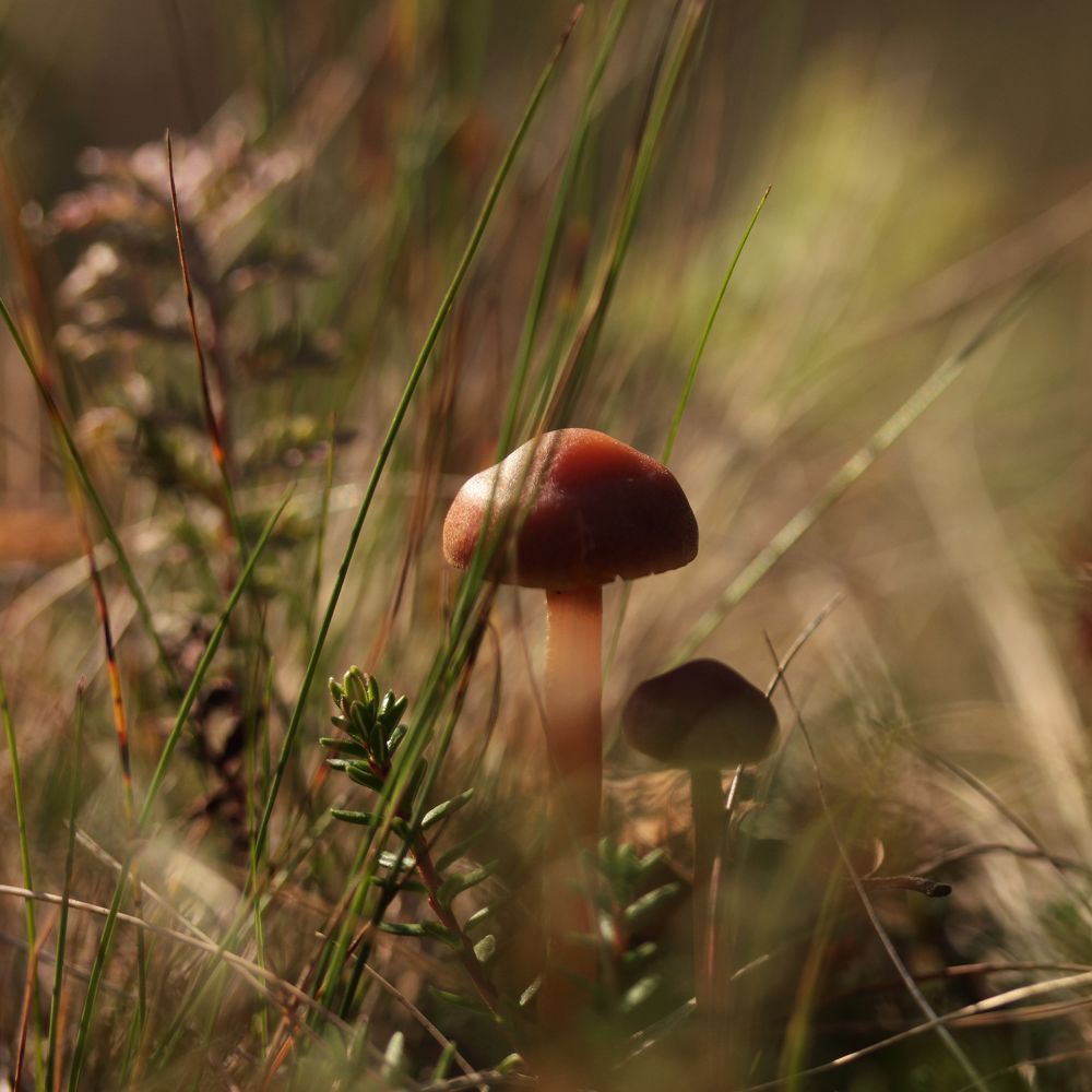 Photograph by Светлана Смирнова