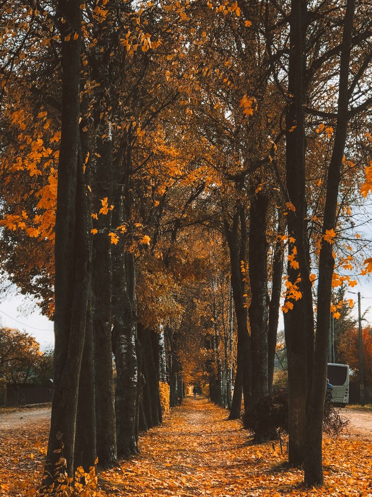 Photograph by Светлана Долганова