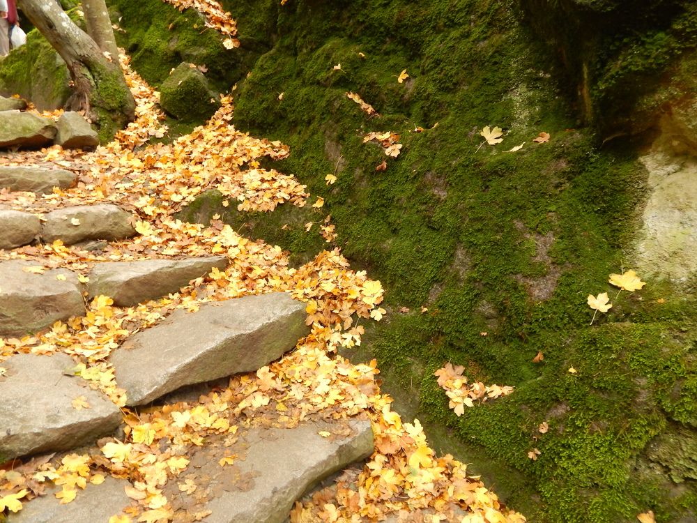 Photograph by Tanivsv