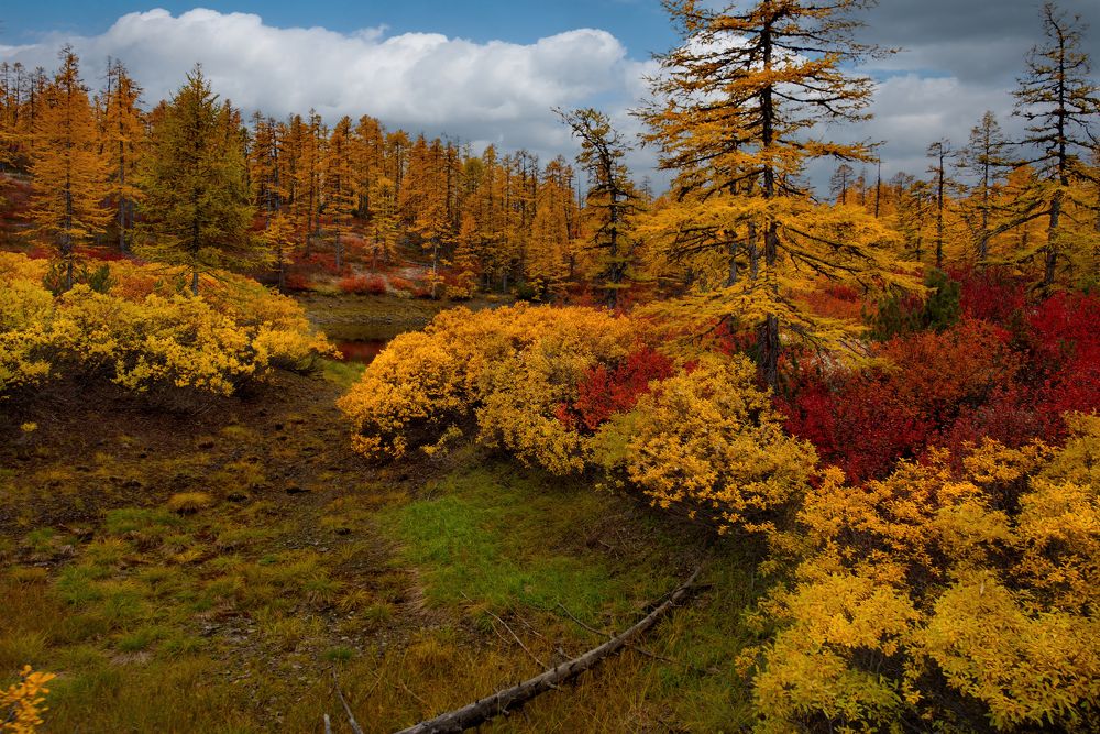 Photograph by Александр КАИ