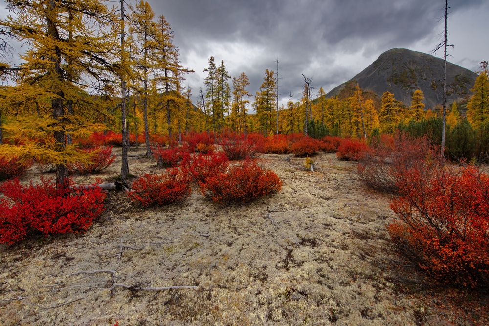 Photograph by Александр КАИ