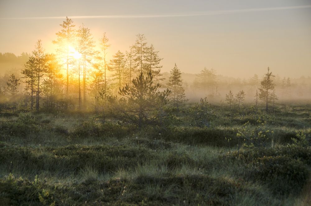 Photograph by Алексей Алешин