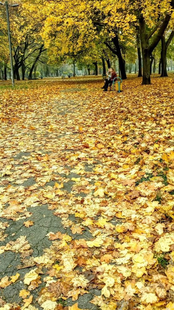 Photograph by Александр Чернега