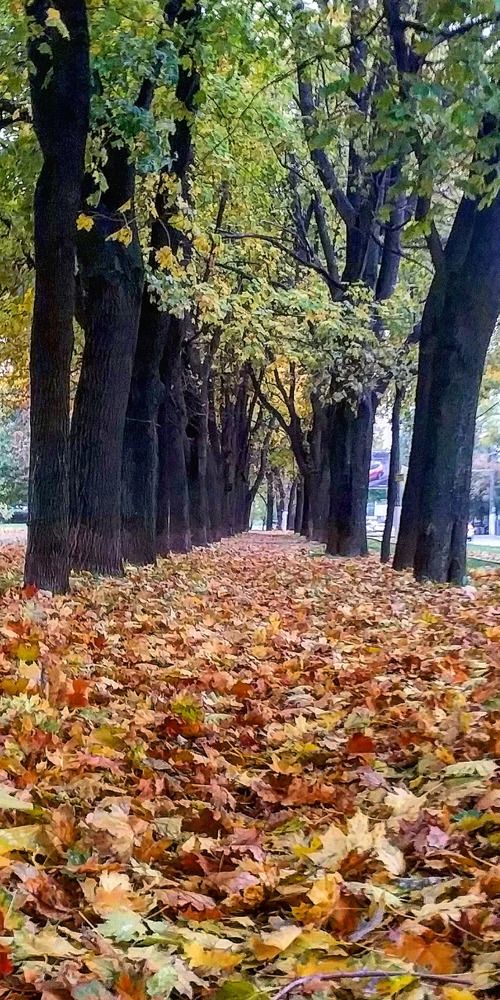 Photograph by Александр Чернега