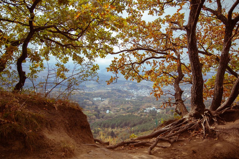 Photograph by Мария Кольцова