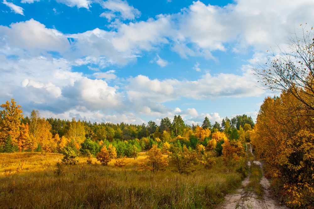 Photograph by Галина Завязкина