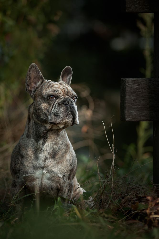 Photograph by Goené Gertrude