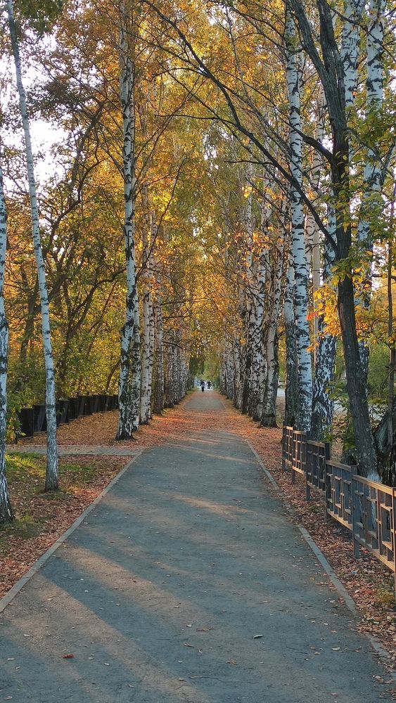 Photograph by Алексей Виноградов