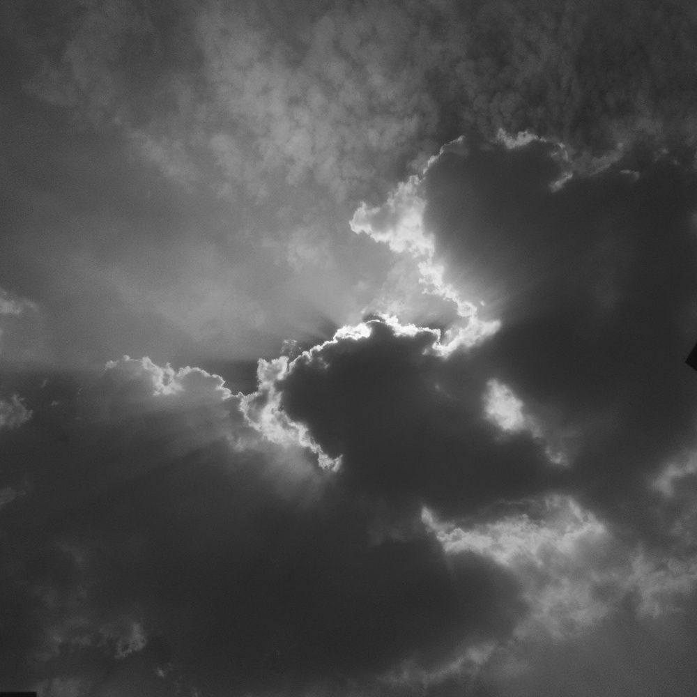 Photo #11067479