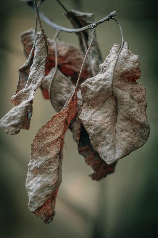 Photograph by Кирилл Гатин
