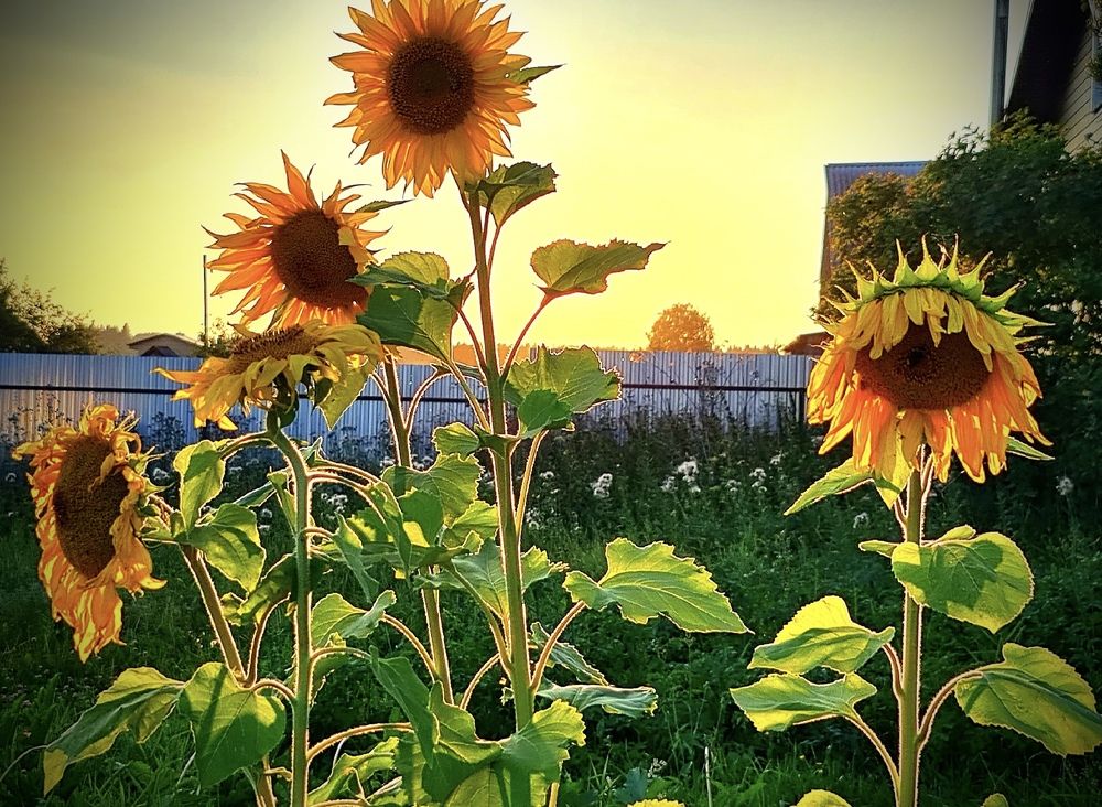 Photograph by Eugene