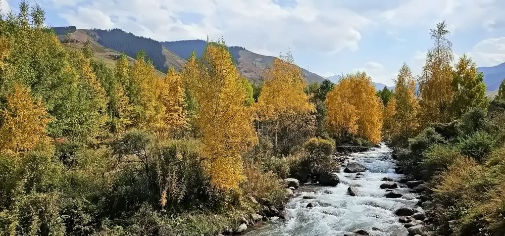 Photograph by Наталья Баранова