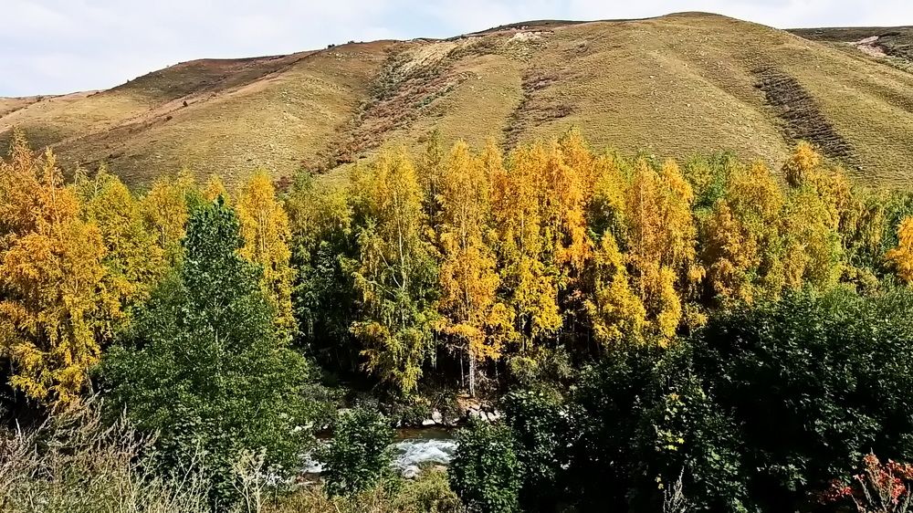 Photograph by Наталья Баранова