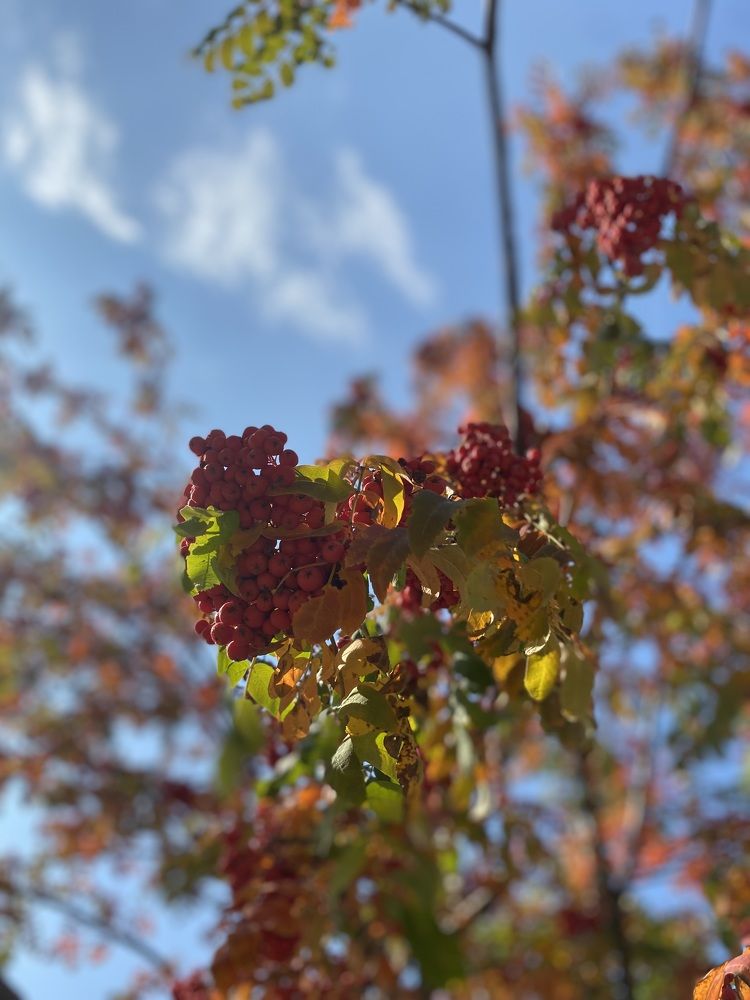 Photograph by Светлана Яковлева