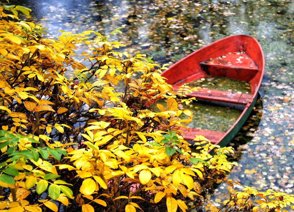 Photograph by Михаил Янкин