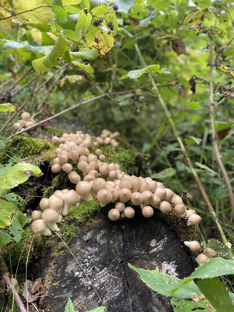 Photograph by Светлана Яковлева