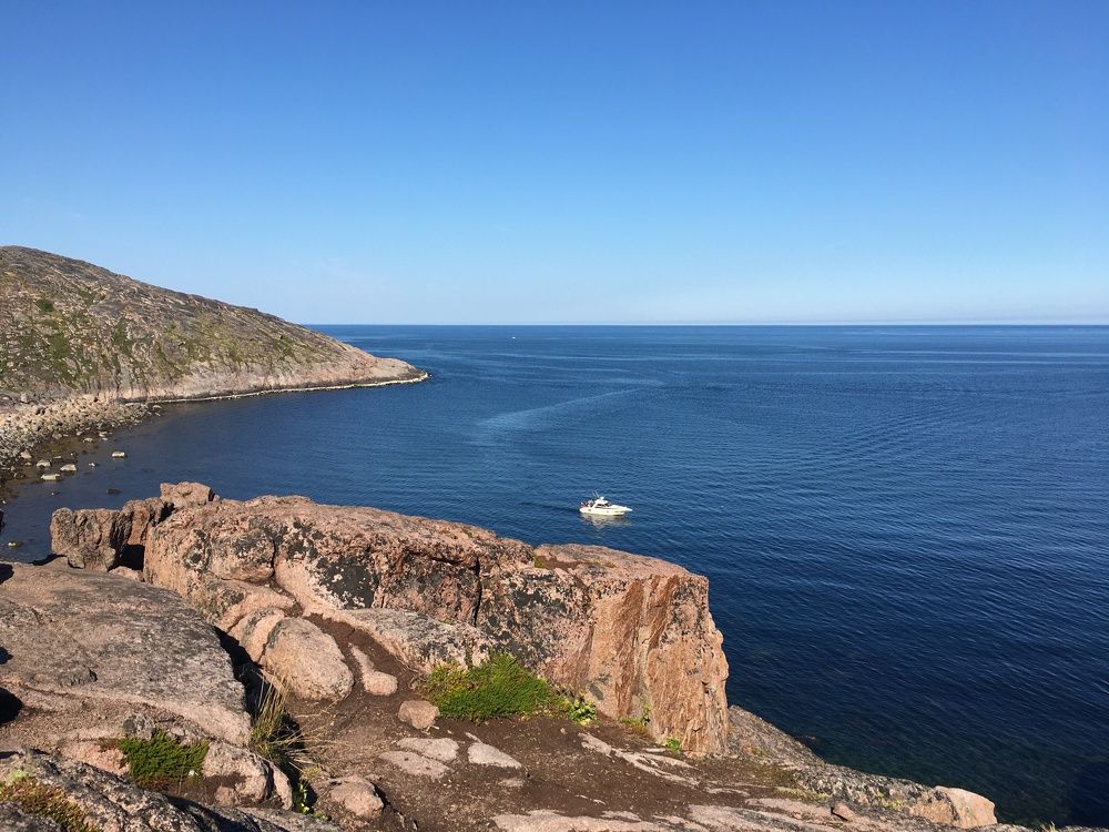 Ледовитый простор