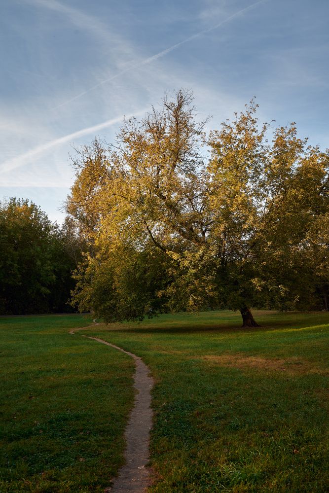 Photograph by Mikhail Kirillov