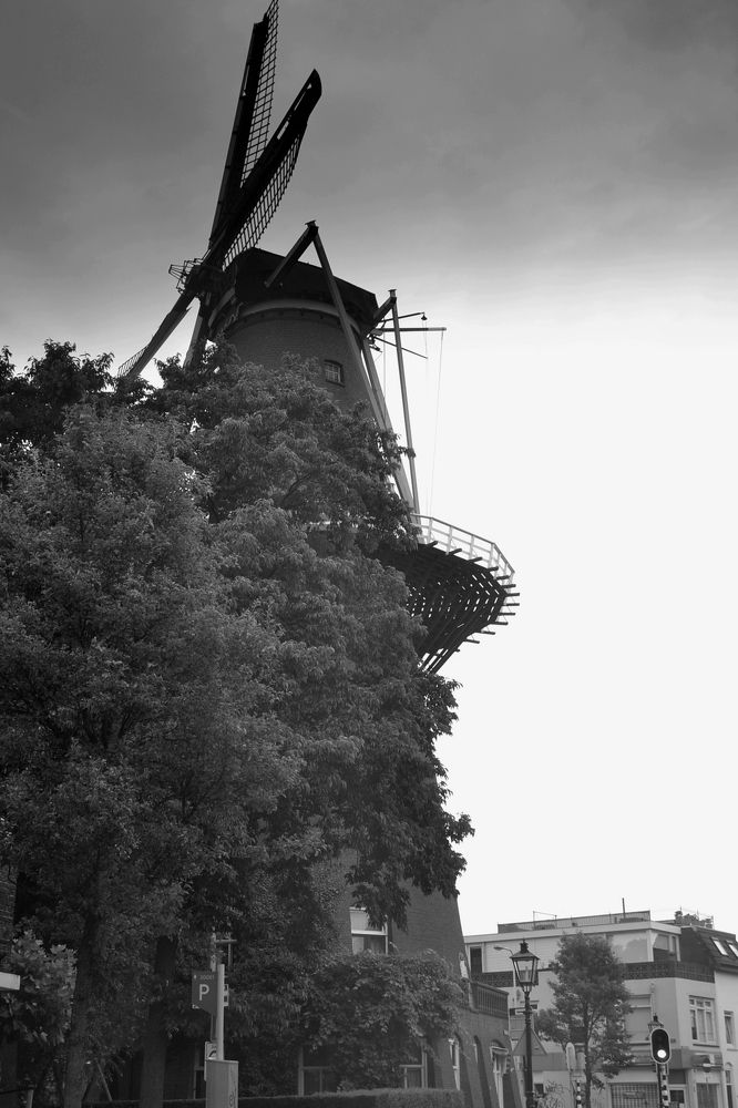 Photograph by DMITRIY DULIN