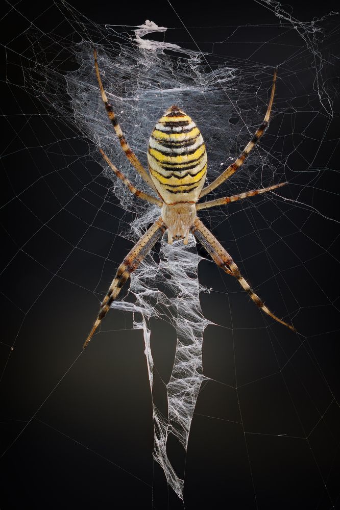 Photograph by Кузнецов Дмитрий