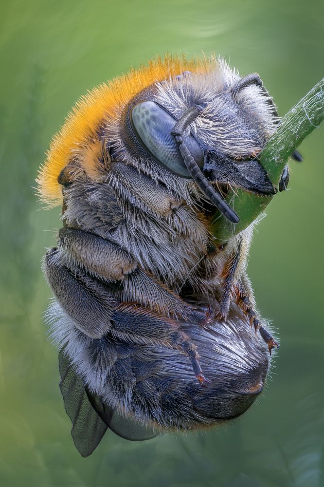 Photograph by Кузнецов Дмитрий