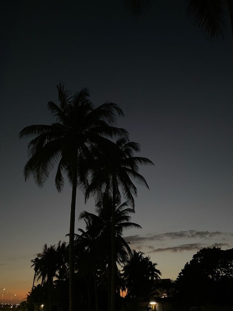 Photograph by Ирина Легкая