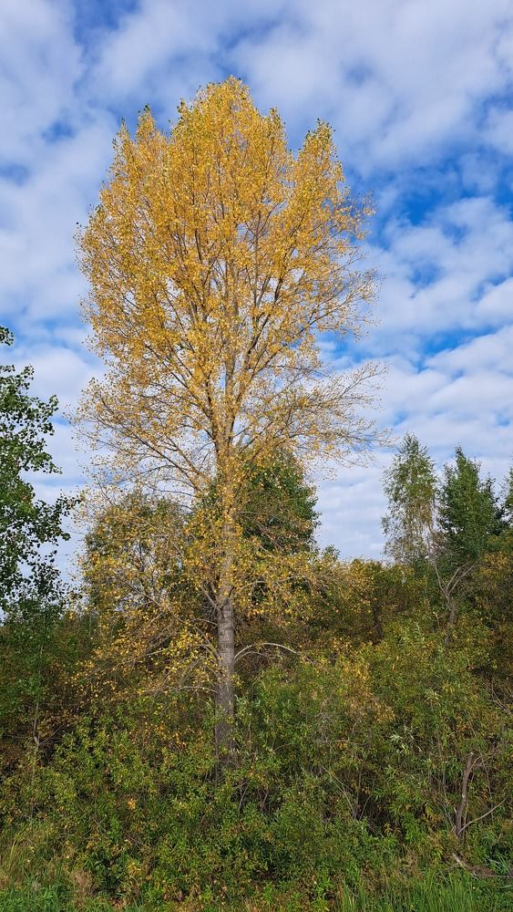 Photograph by Валентина Нохрина