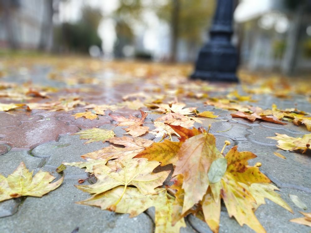 Фотография автора Анатолий Дячина